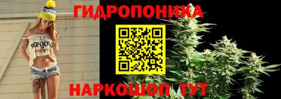 a pvp Северобайкальск