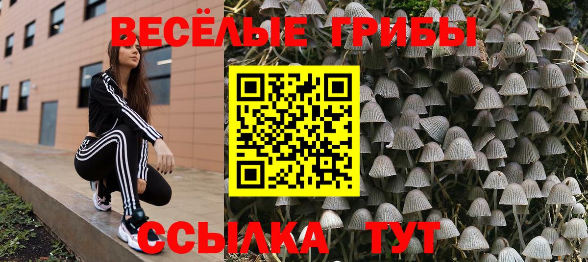 Иркутск  Галлюциногенные грибы Psilocybe  Псилоцибиновые грибы мицелий  Вход с VPN 